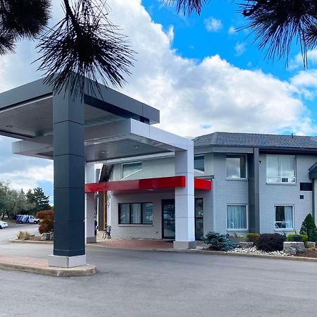 Comfort Inn Dryden Exterior foto